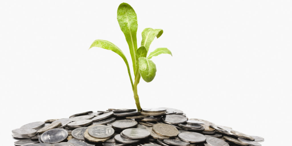 Little plant growing out of pile of coins, studio shot