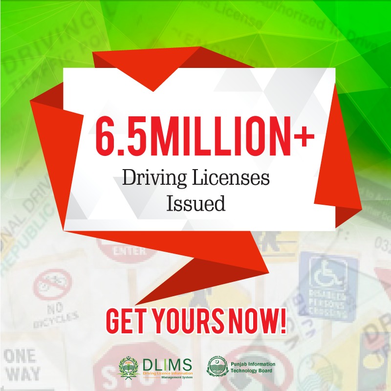 driving licenses