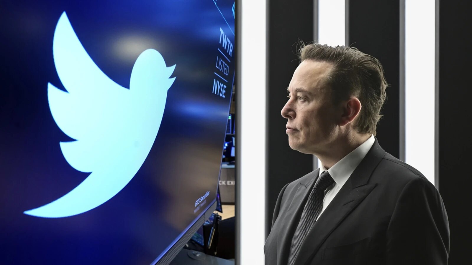 Elon Musk Floats Checkmarks, No Ads for Twitter’s Blue Service