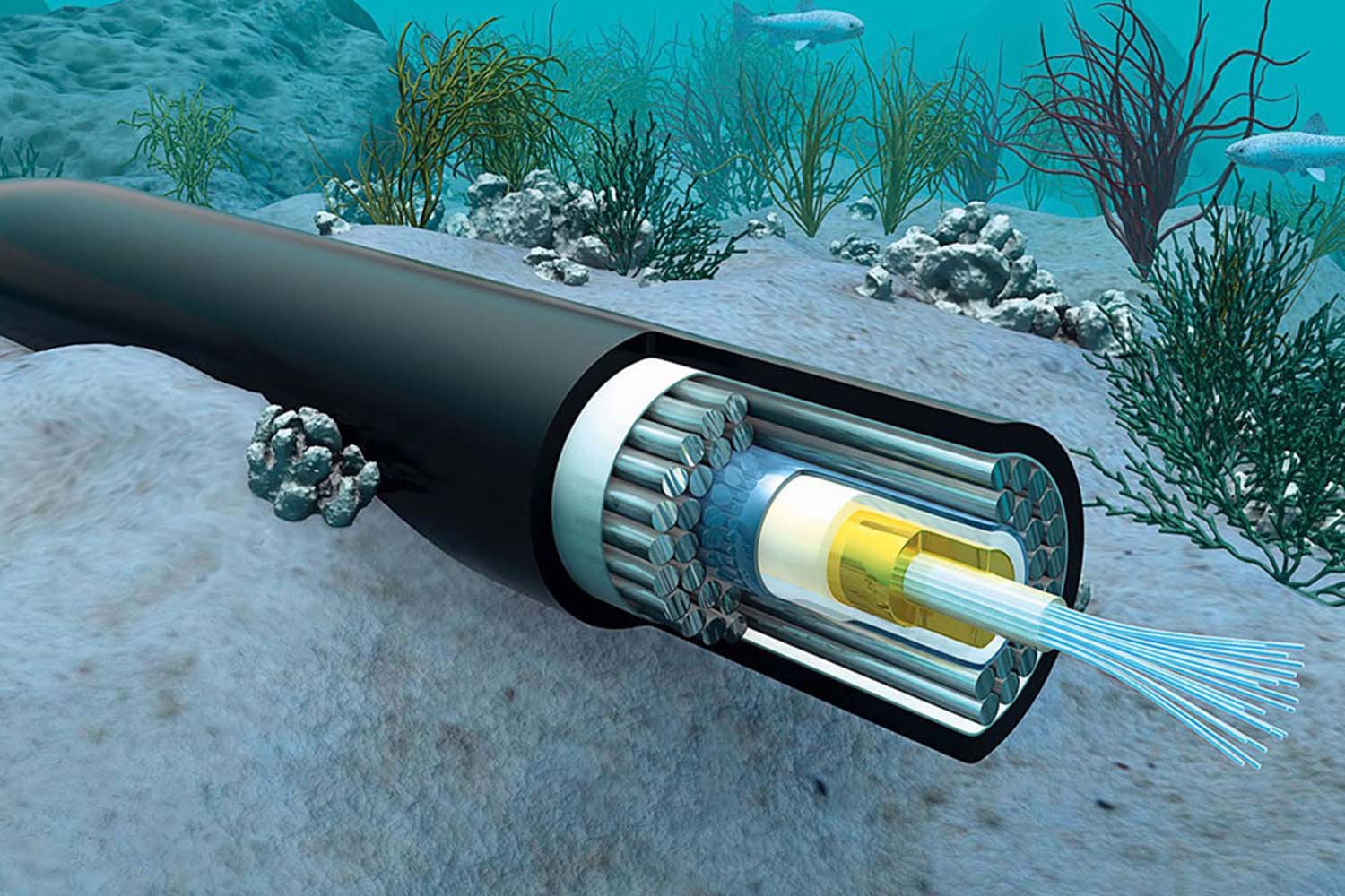Internet Services Restored as Submarine Cable Repairs Complete: PTCL